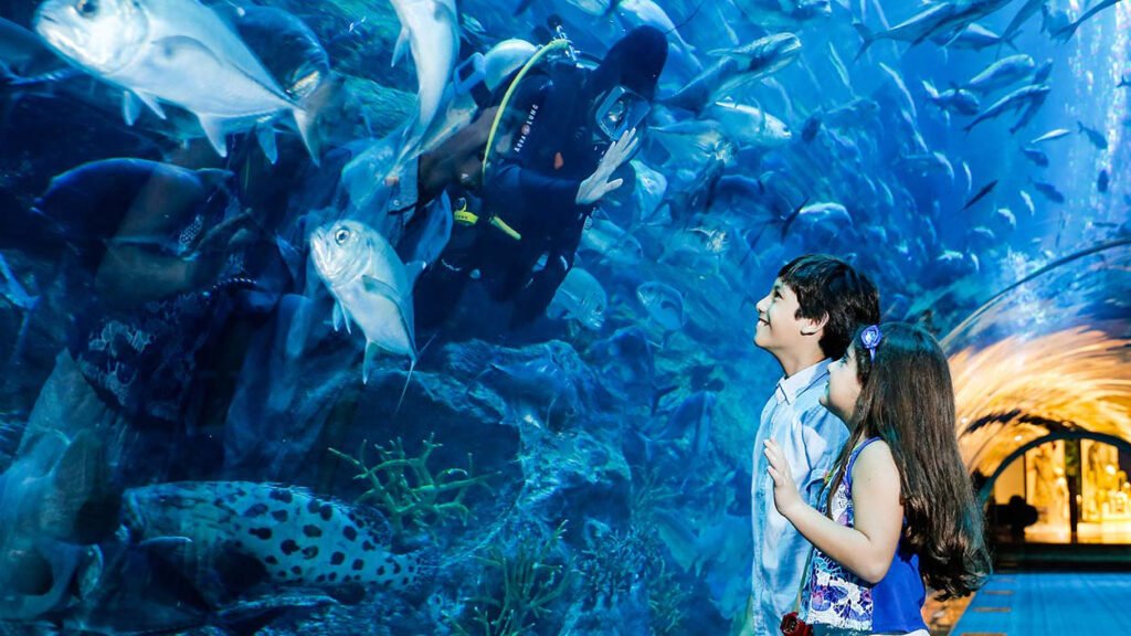 Aquarium and Underwater Zoo at the Dubai Mall