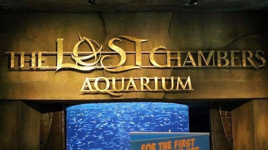 Lost Chambers Aquarium