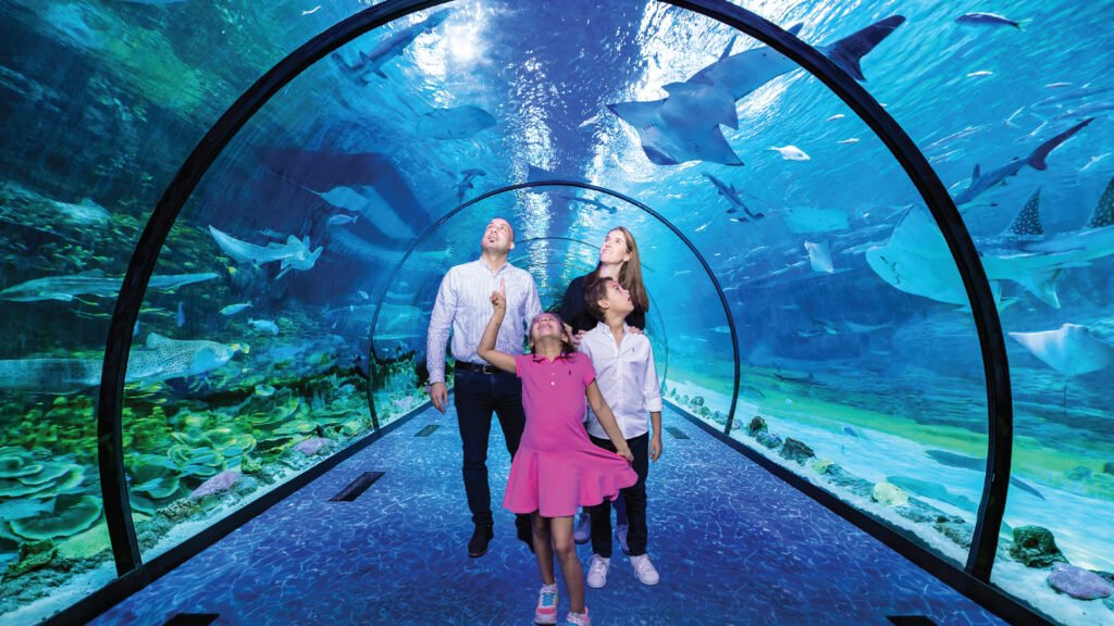 National Aquarium Abu Dhabi